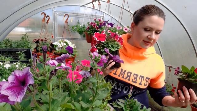 Рассада цветов на продажу. Мои ошибки смотреть онлайн