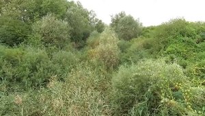 Попытка поездки на Крюковское водохранилище. Наконец то гроза в Краснодарском крае!