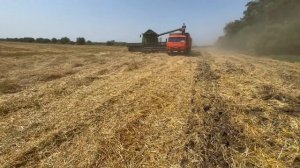 Уборка ячменя 2023. Результаты