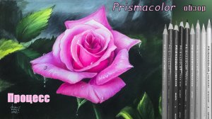 Релакс рисование розы карандашами под музыку пианино