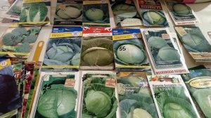 САМЫЕ ЛУЧШИЕ СОРТА И ГИБРИДЫ КАПУСТЫ!!! СУПЕР УРОЖАЙ!!! ПРОВЕРЕННО 100%!!!