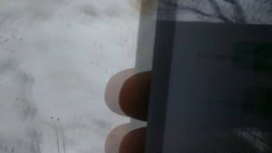 Эстонский гончак Фагот с GPS трекером DeMC после Hunter app100