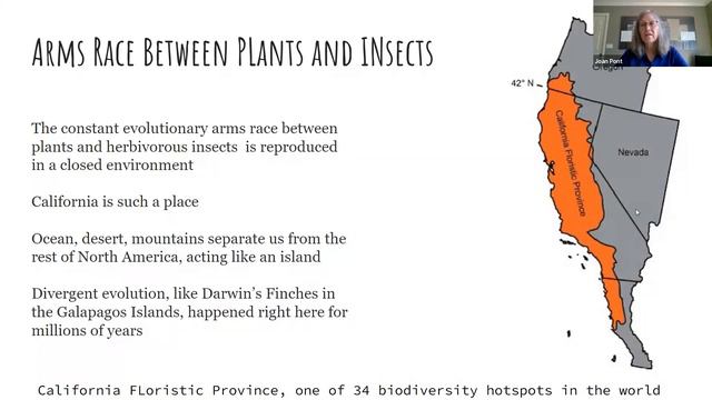 Webinar: Welcoming Native Wildlife to the Garden смотреть онлайн