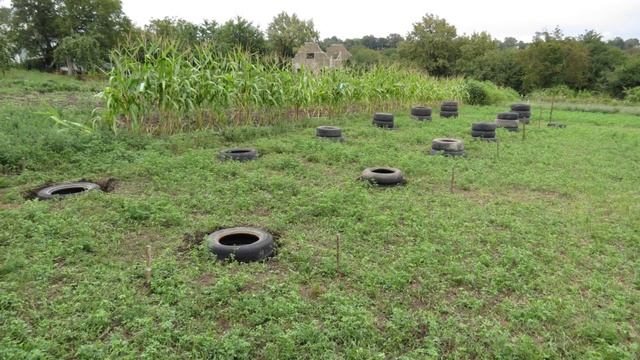 Бесплатная несъемная опалубка для столбов под сарай/хозблок с жилой комнатой своими руками смотреть онлайн
