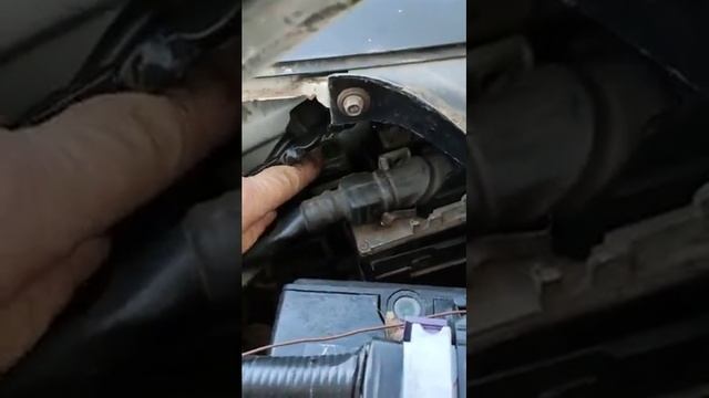 Отзыв клиента из Донецка смотреть онлайн