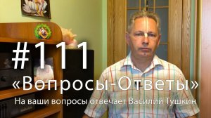 "Вопросы-Ответы", Выпуск #111 - Василий Тушкин отвечает на ваши вопросы