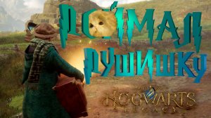 ПОЙМАЛ ПУШИШКУ — Hogwarts Legacy #15