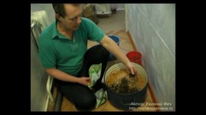 Почва для рассады. Отрывок из курса Помидоры от А до Я