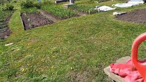 Сделала солевой раствор для чеснока.5 мая 2022 год.