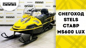 Снегоход Stels СТАВР MS600 LUX