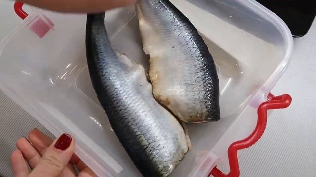 Засолка сельди в домашних условиях. Простой рецепт засолки сельди