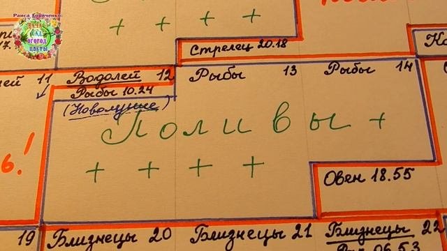 Календарь поливов растений в феврале 2021 года Благоприятные дни для подкормок растений Агрогороско