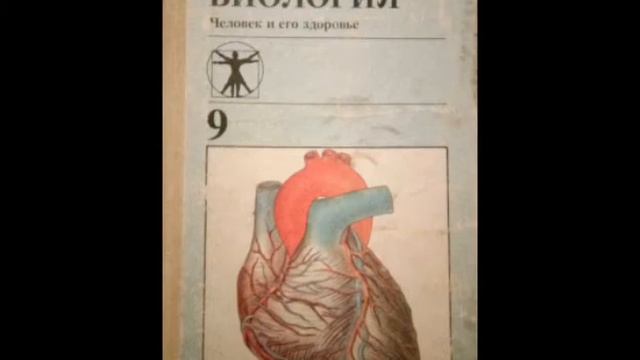 #10 Большие полушария головного мозга. Биология. А. М. Цузмер, О. Л. Петришина. смотреть онлайн