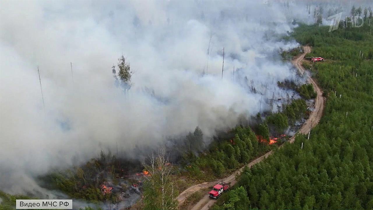 В Рязанской области удалось локализовать еще три очага природных пожаров