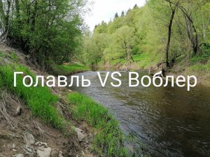 Голавль VS Воблер