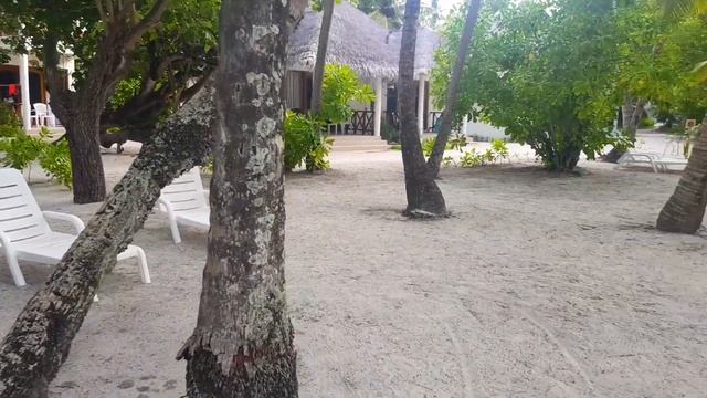 Мальдивы. Fihalhohi Island. Упустили Стаю дельфинов. смотреть онлайн