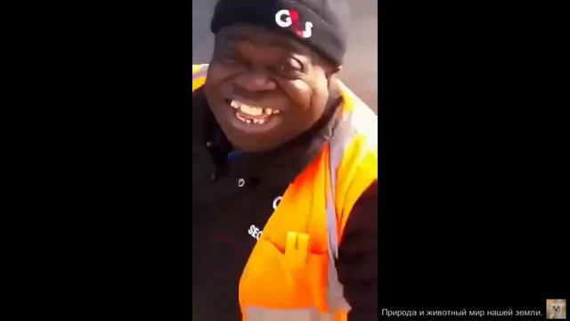 Природа и животный мир.И такое бывает. смотреть онлайн