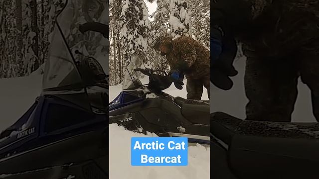 Arctic Cat Bearcat по глубокому снегу. #тайга #изба #снегоход