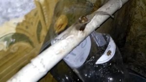 Как сбросить воду с воздухом при помощи крана Маевского без особых брызг !