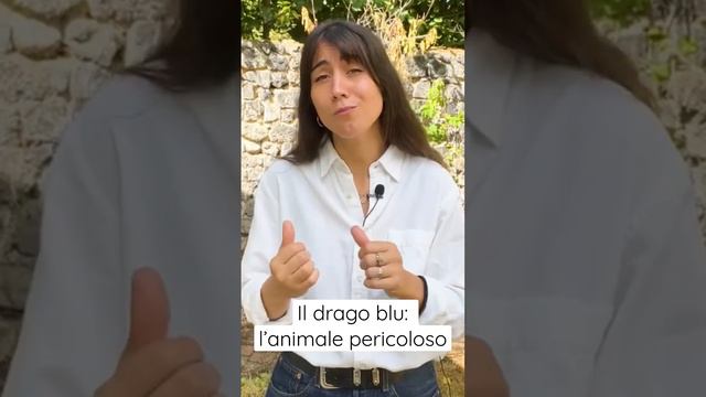 Chi è il drago blu?