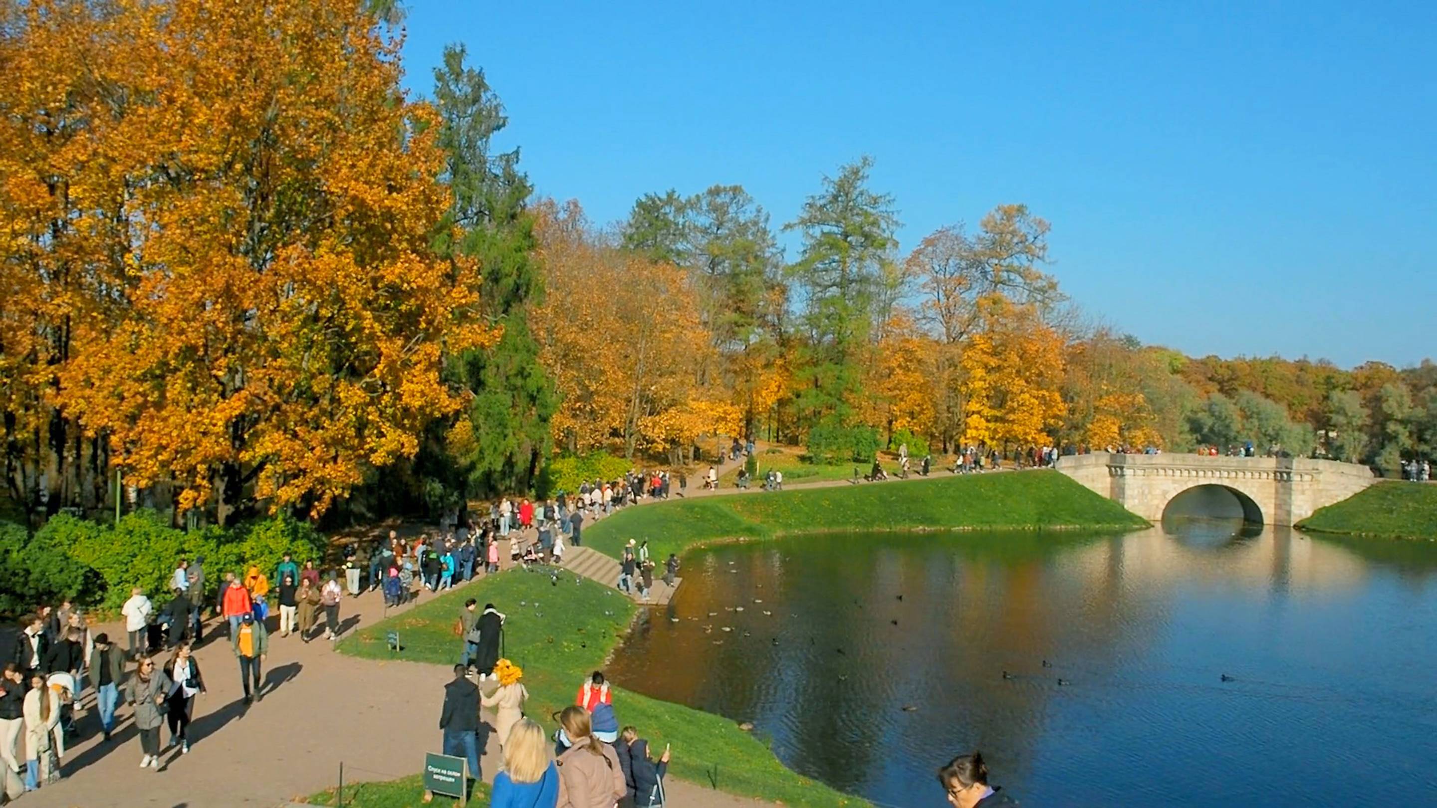 🍂Золотая осень в Гатчине・🍁Пригороды・Прогулка по Питеру・Санкт-Петербург・СПб・Walk・Алексей Михайлов