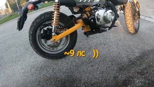 Хонда обезьяна 2019 ( Honda Monkey ) первые впечатления / обзор / test drive.