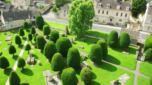 A focus on Yew hedging: All you need to know about Taxus Baccata смотреть онлайн