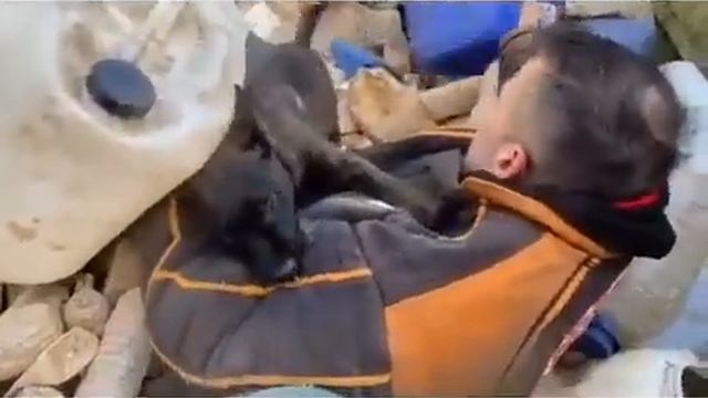 Щенок голландской овчарки : зверюга рабочего разведения. смотреть онлайн