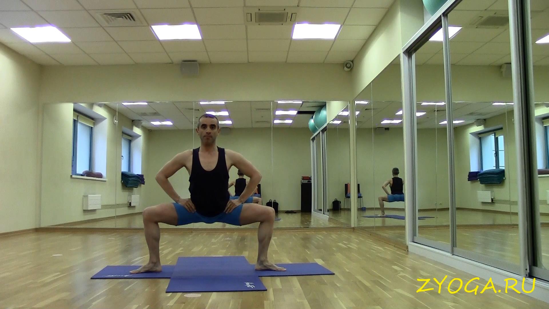 Утката Конасана / Поза Богини / Стамбхасана / Utkata Konasana / Goddes Pose / Stambhasana