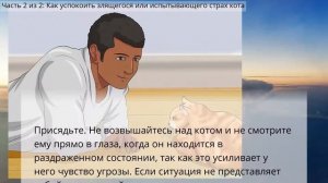 Как успокоить агрессивного кота