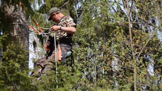 засидка на дереве смотреть онлайн