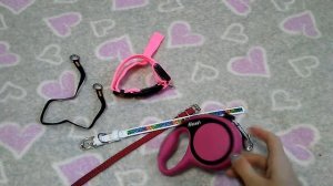 Ошейник или шлейка,поводок или рулетка?