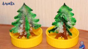 Выращиваем ёлочку! (Растущая ёлочка) ?