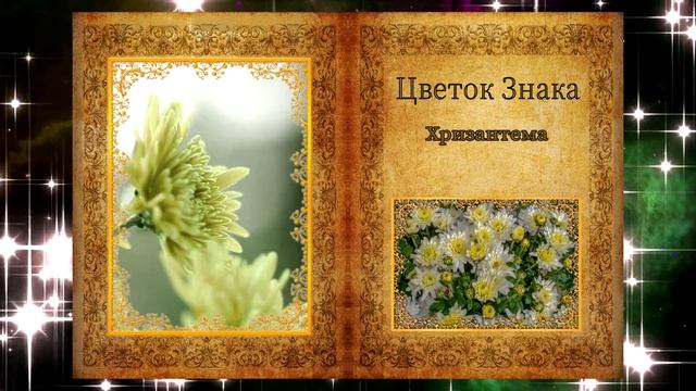 Знак Лев с 13 августа по 23 августа смотреть онлайн