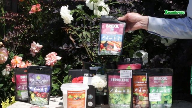 Секреты выращивание Английских роз - Дэвида Остина