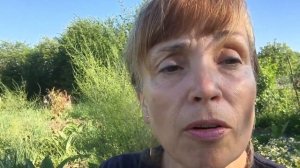 УКУСАМИ ПЧЁЛ🐝❗️ БОЛЕЗНИ суставов❗️ВАРИКОЗ❗️Апитерапия🤗🔆🙌