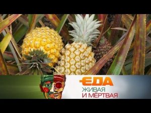 "Еда живая и мёртвая": ананасовая диета и 5 опасных способов приготовления еды (02.12.2017)