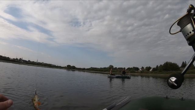 Ловля хищной рыбы в августе на воблеры, поперы и волкеры.