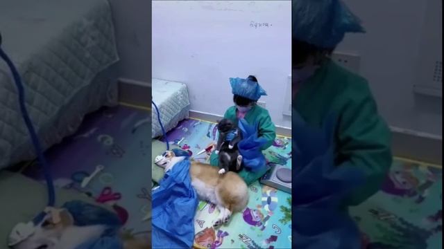 Операция прошла успешно смотреть онлайн