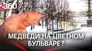 В центре Москвы открылась выставка с кадрами из реальных научных экспедиций