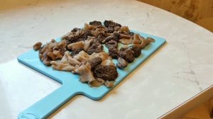 ВВК Сморчок-съедобный гриб. Как выглядит сморчок? Сморчок в лесу. Как приготовить жульен из сморчко