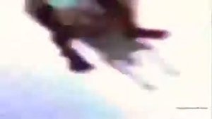 Шрек летит на осле под музыку