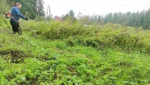 Какой Выбрать нож для триммера трех или из четырех лезвий