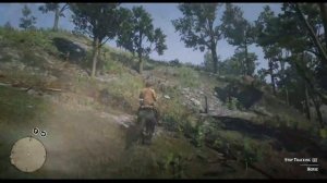 Free and Easy to get Missouri Fox Trotter in Chapter 2 - Red Dead Redemption 2 - RDR2 in 2021 -Hors