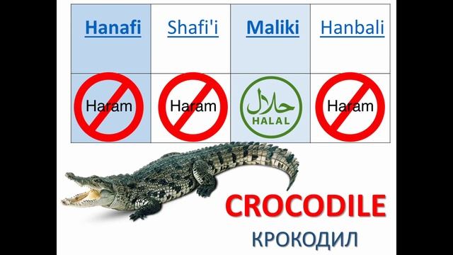 Халяль и харам 4 мазхаба! HALAL and HARAM 4 madhab!