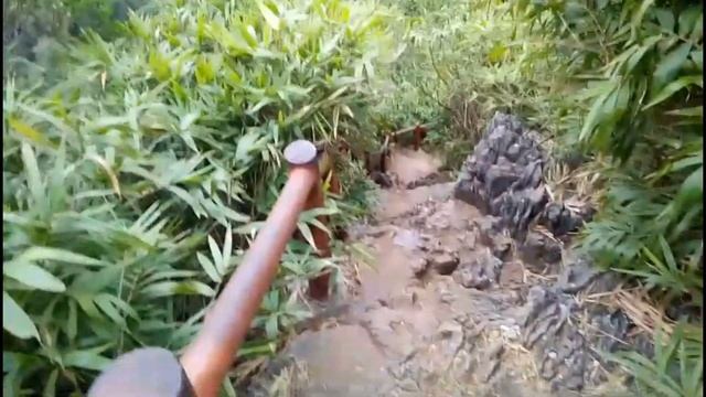 ВЬЕТНАМ КАТБА ДОСТОПРИМЕЧАТЕЛЬНОСТИ смотреть онлайн