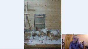 Строим дом для индюков  Каркасник  за неделю :-)  Стрим на facebook в 20:55