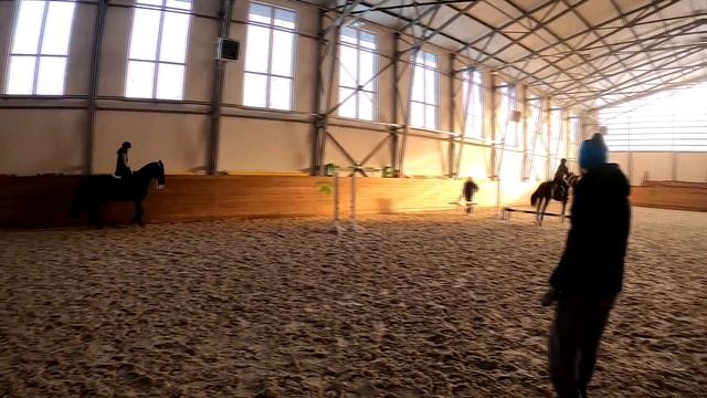 Новая, но очень хорошая лошадка. Что делать, если лошадь тащит на барьер!? смотреть онлайн