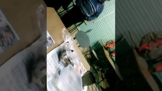 стерлитамак рсу дор
