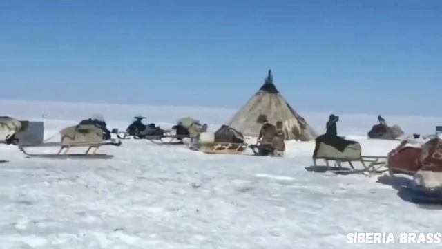 В гости к оленеводам. Заполярье. Там, где всегда мороз. 4 часть. смотреть онлайн